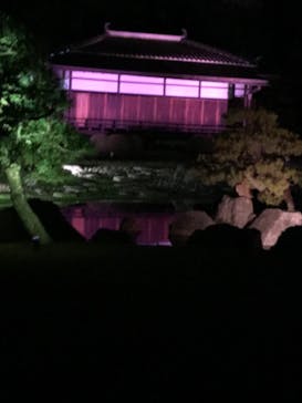 『NAKED FLOWERS 2023 桜 世界遺産・二条城』に投稿された画像（2023/4/8）