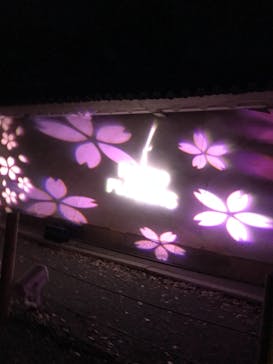 『NAKED FLOWERS 2023 桜 世界遺産・二条城』に投稿された画像（2023/4/8）