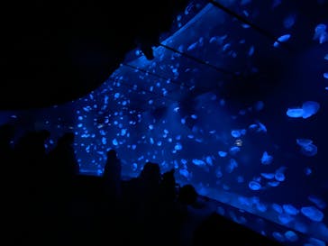 サンシャイン水族館に投稿された画像（2023/4/8）