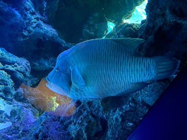 サンシャイン水族館に投稿された画像（2023/4/8）