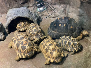 サンシャイン水族館に投稿された画像（2023/4/8）
