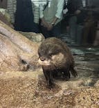 新江ノ島水族館に投稿された画像（2023/4/8）