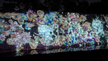 『NAKED FLOWERS 2023 桜 世界遺産・二条城』に投稿された画像（2023/4/8）