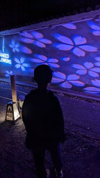 『NAKED FLOWERS 2023 桜 世界遺産・二条城』に投稿された画像（2023/4/8）