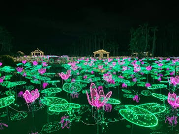 美らヤシパークオキナワ・東南植物楽園に投稿された画像（2023/4/8）