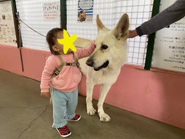 ワールド牧場に投稿された画像（2023/4/8）