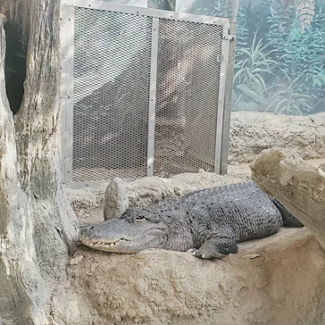 天王寺動物園に投稿された画像（2023/4/8）