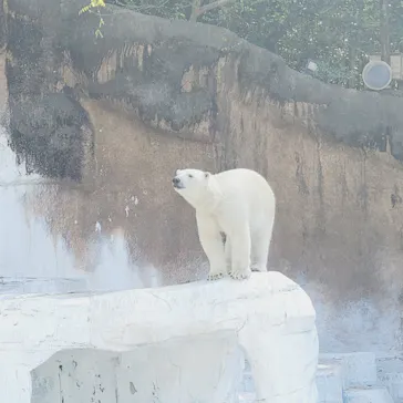 天王寺動物園に投稿された画像（2023/4/8）