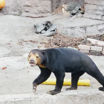 天王寺動物園に投稿された画像（2023/4/8）