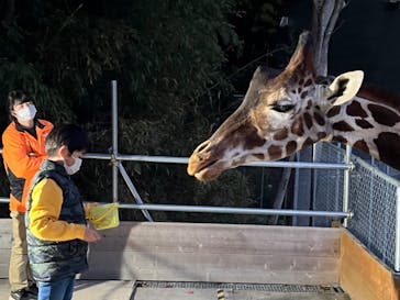 しろとり動物園に投稿された画像（2023/4/8）