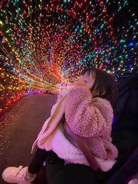 伊豆ぐらんぱる公園に投稿された画像（2023/4/8）