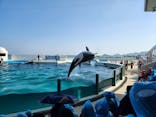 鴨川シーワールドに投稿された画像（2023/4/9）