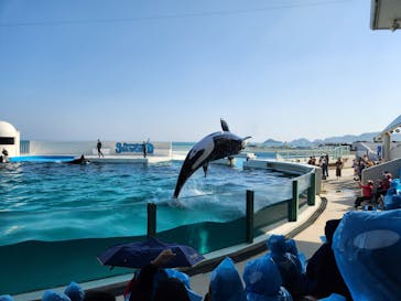 鴨川シーワールドに投稿された画像（2023/4/8）