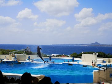 沖縄美ら海水族館に投稿された画像（2023/4/8）