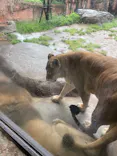 天王寺動物園に投稿された画像（2023/4/9）