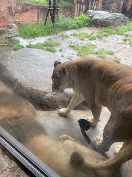 天王寺動物園に投稿された画像（2023/4/8）