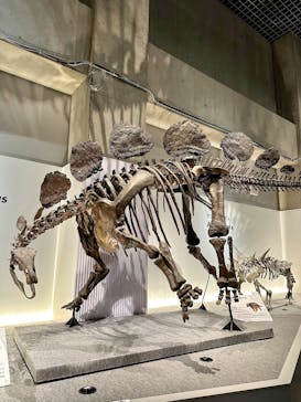特別展「恐竜博2023」に投稿された画像（2023/4/8）