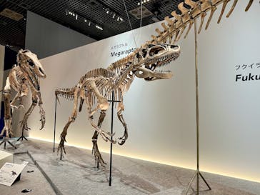 特別展「恐竜博2023」に投稿された画像（2023/4/8）