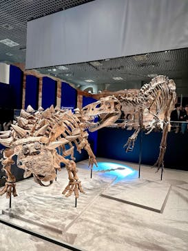 特別展「恐竜博2023」に投稿された画像（2023/4/8）