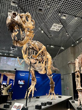 特別展「恐竜博2023」に投稿された画像（2023/4/8）