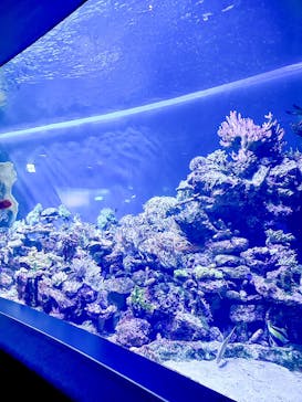 サンシャイン水族館に投稿された画像（2023/4/8）