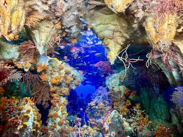 サンシャイン水族館に投稿された画像（2023/4/8）