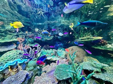 サンシャイン水族館に投稿された画像（2023/4/8）