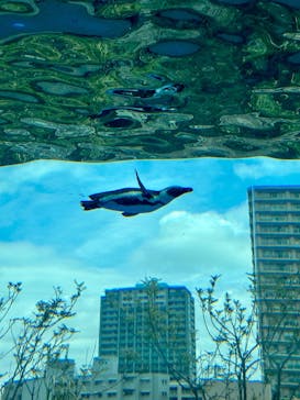 サンシャイン水族館に投稿された画像（2023/4/8）