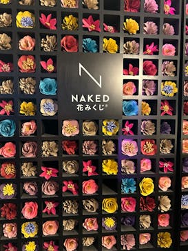 『NAKED FLOWERS 2023 桜 世界遺産・二条城』に投稿された画像（2023/4/8）