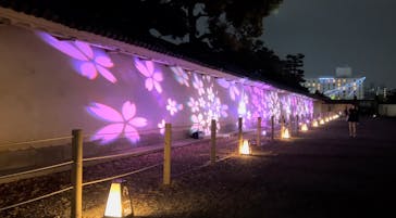 『NAKED FLOWERS 2023 桜 世界遺産・二条城』に投稿された画像（2023/4/8）