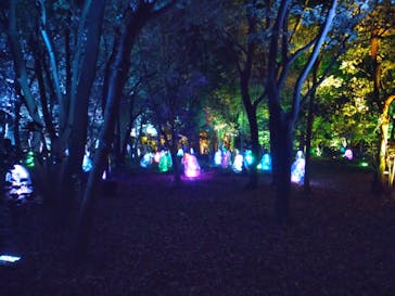 チームラボ ボタニカルガーデン 大阪に投稿された画像（2023/4/8）