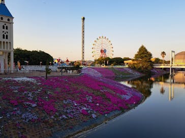 レオマリゾートに投稿された画像（2023/4/9）