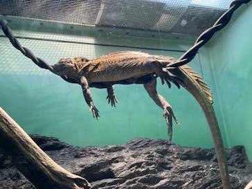 サンシャイン水族館に投稿された画像（2023/4/9）