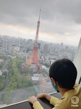 東京タワーに投稿された画像（2023/4/9）