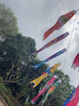 東京タワーに投稿された画像（2023/4/9）