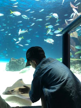 サンシャイン水族館に投稿された画像（2023/4/9）