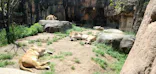 天王寺動物園に投稿された画像（2023/4/9）