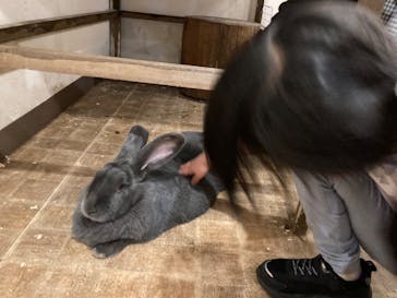 伊豆シャボテン動物公園に投稿された画像（2023/4/9）