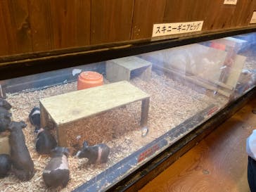 伊豆シャボテン動物公園に投稿された画像（2023/4/9）