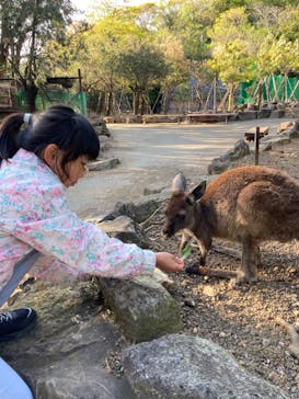 伊豆シャボテン動物公園に投稿された画像（2023/4/9）