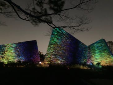 チームラボ ボタニカルガーデン 大阪に投稿された画像（2023/4/9）