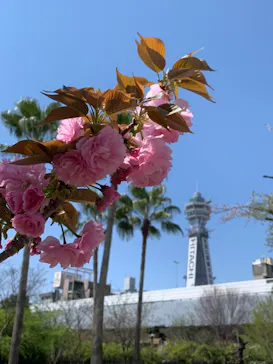 天王寺動物園に投稿された画像（2023/4/9）