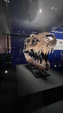 特別展「恐竜博2023」に投稿された画像（2023/4/9）