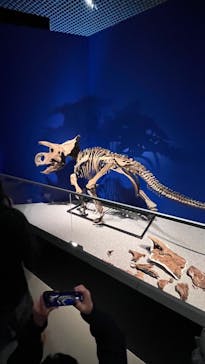 特別展「恐竜博2023」に投稿された画像（2023/4/9）