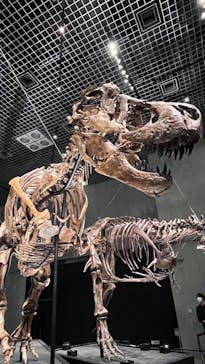 特別展「恐竜博2023」に投稿された画像（2023/4/9）