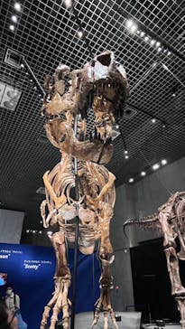 特別展「恐竜博2023」に投稿された画像（2023/4/9）