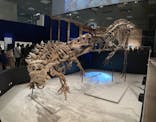 特別展「恐竜博2023」に投稿された画像（2023/4/9）
