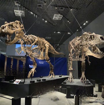 特別展「恐竜博2023」に投稿された画像（2023/4/9）