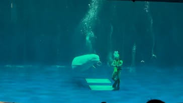 島根県立 しまね海洋館に投稿された画像（2023/4/9）