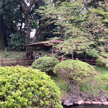 新宿御苑に投稿された画像（2023/4/9）